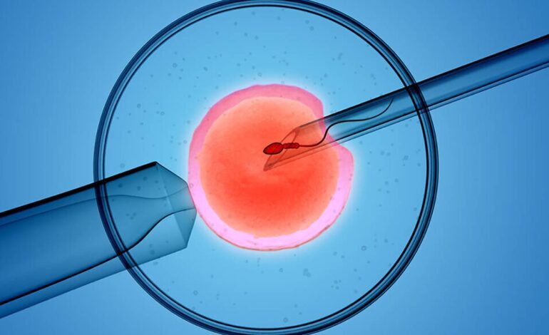  بررسی تاثیر ملاتونین بر کیفیت اسپرم در لقاح آزمایشگاهی
