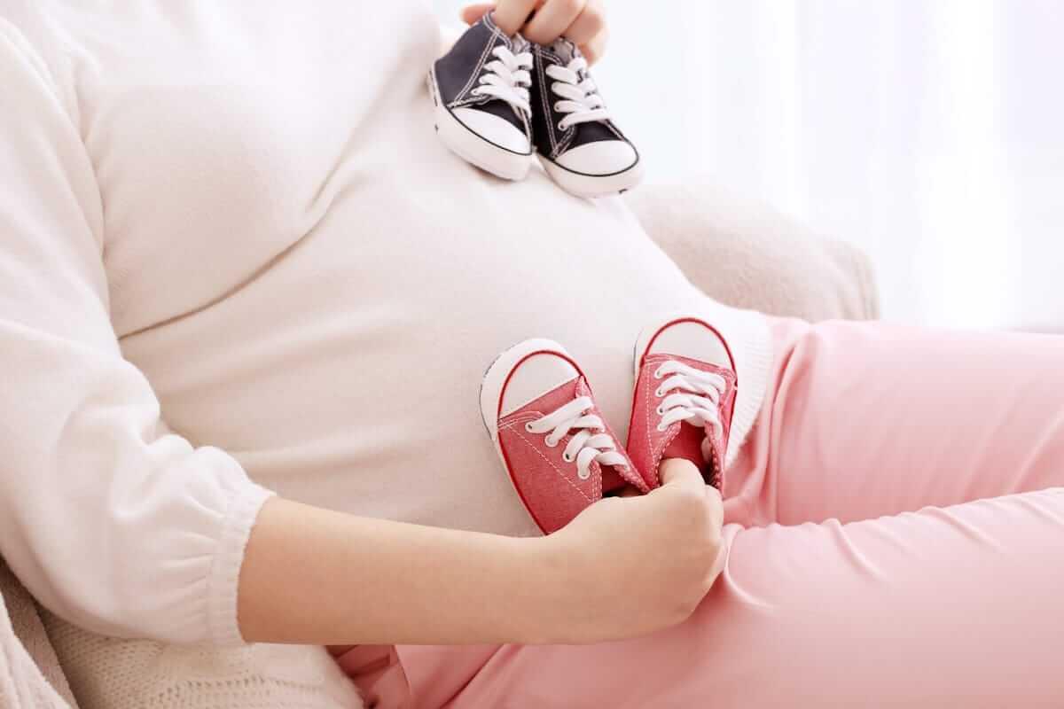 بارداری دو قلو